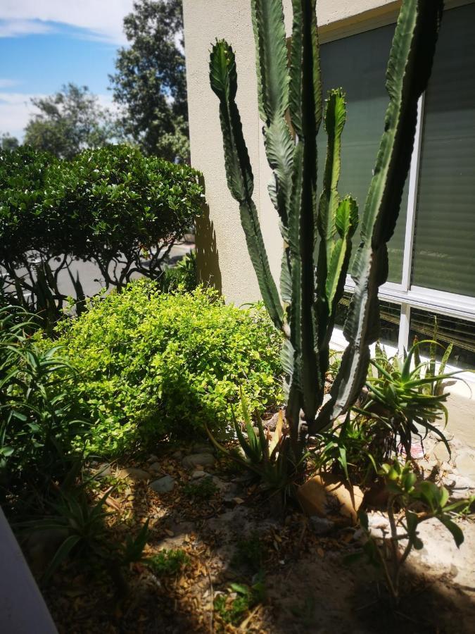 Cape Town Family Beachfront Apartment Leisure Bay מראה חיצוני תמונה